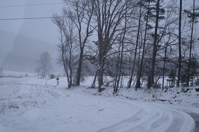 DSC_0223.JPG